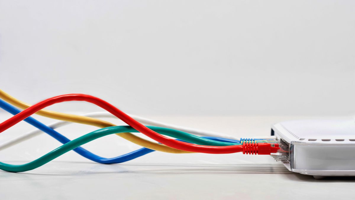 cables going into the back of a broadband router on white background