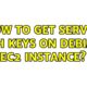 How to get server ssh keys on debian ec2 instance? (2 Solutions!!)