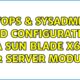 DevOps & SysAdmins: RAID configuration of a Sun Blade X6270 M2 Server Module