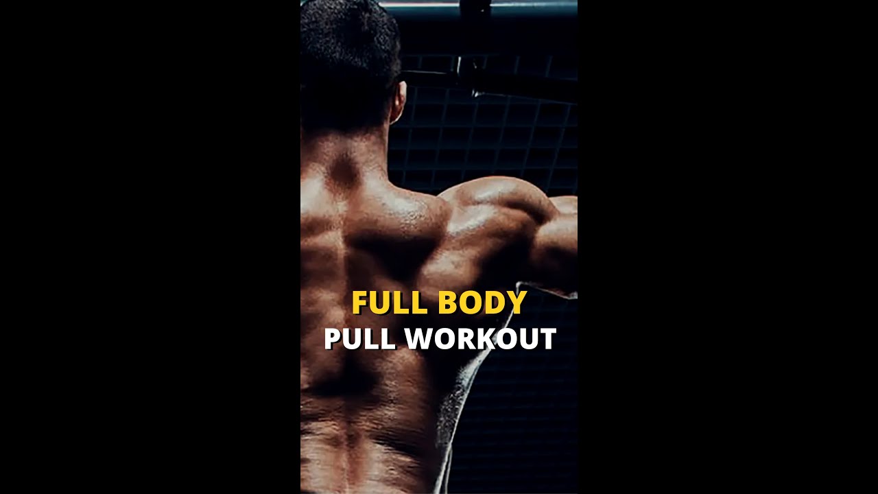 Full Body Pull Workout #pullworkout #fullbodyworkout #homegym #deadlift