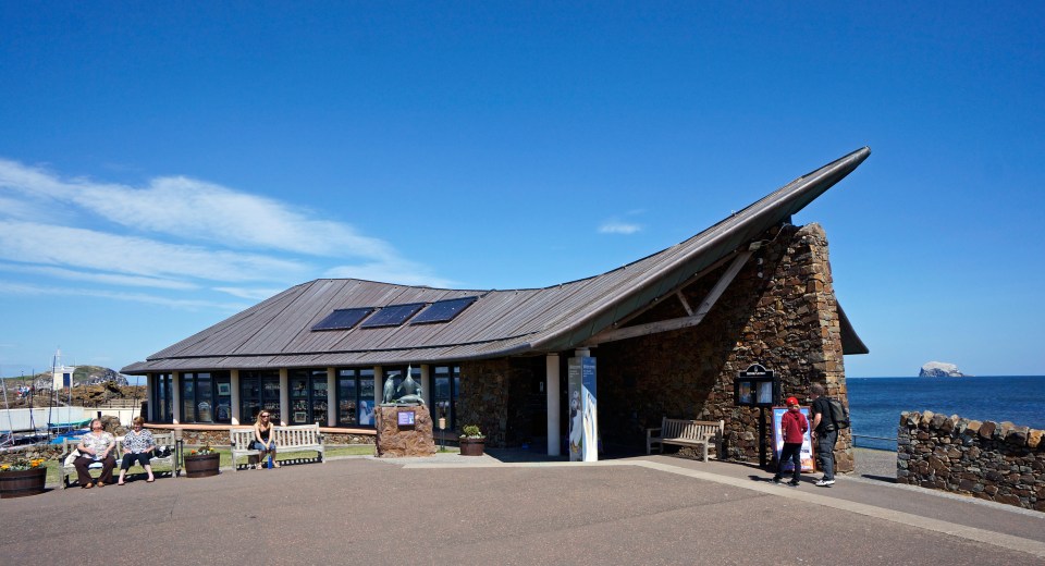 At the Scottish Seabird Centre, visitors can watch puffins through cameras on the neighbouring islands