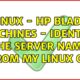 linux - HP BLADE machines - identify the Server name from my Linux OS (2 Solutions!!)