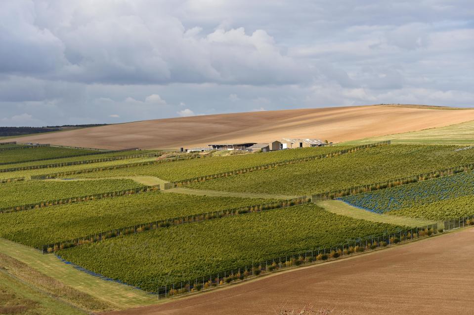 The Rathfinny Wine Estate and Vineyard is family-run and produces award-winning wines