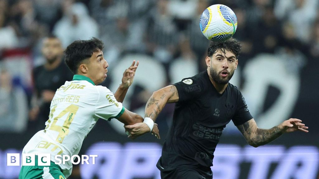 Corinthians vs Palmeiras: Pig's head thrown on to pitch during Sao Paulo derby