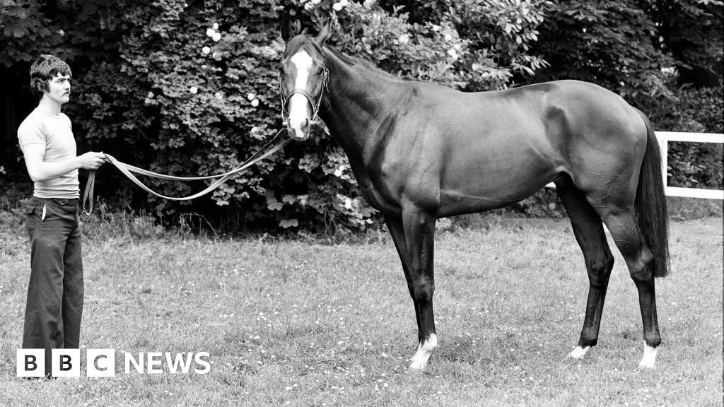 Man's collection of racehorse hair sells for £38,000