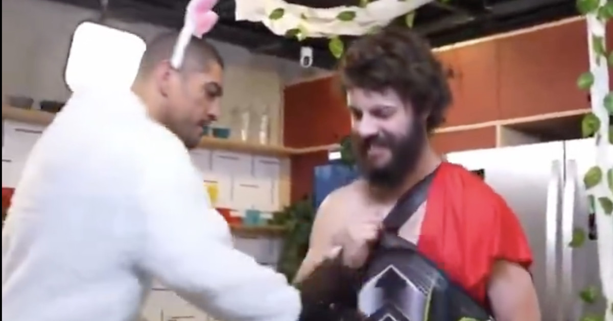 Watch Alex Pereira, in a bunny costume, drop Brazilian comedian with body punch