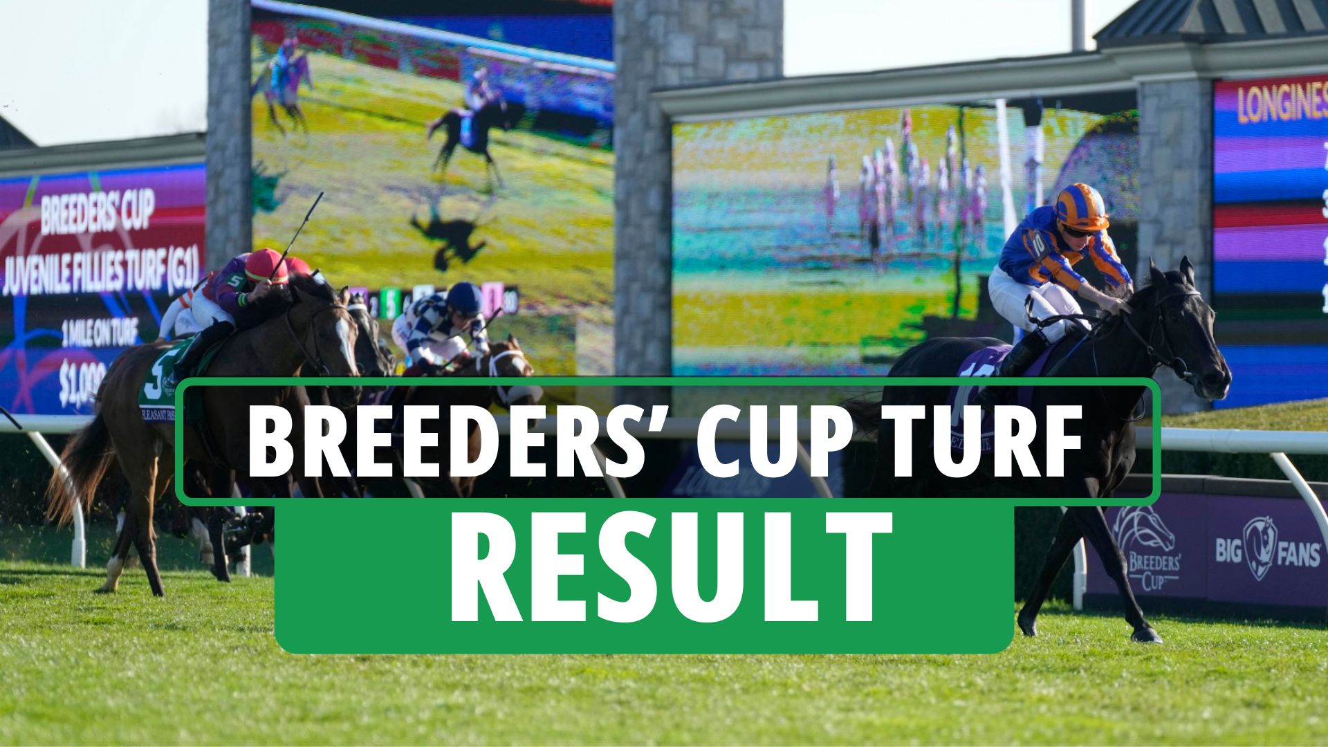 Who won Breeders' Cup Turf 2024? Full results and finishing order for huge race at Del Mar