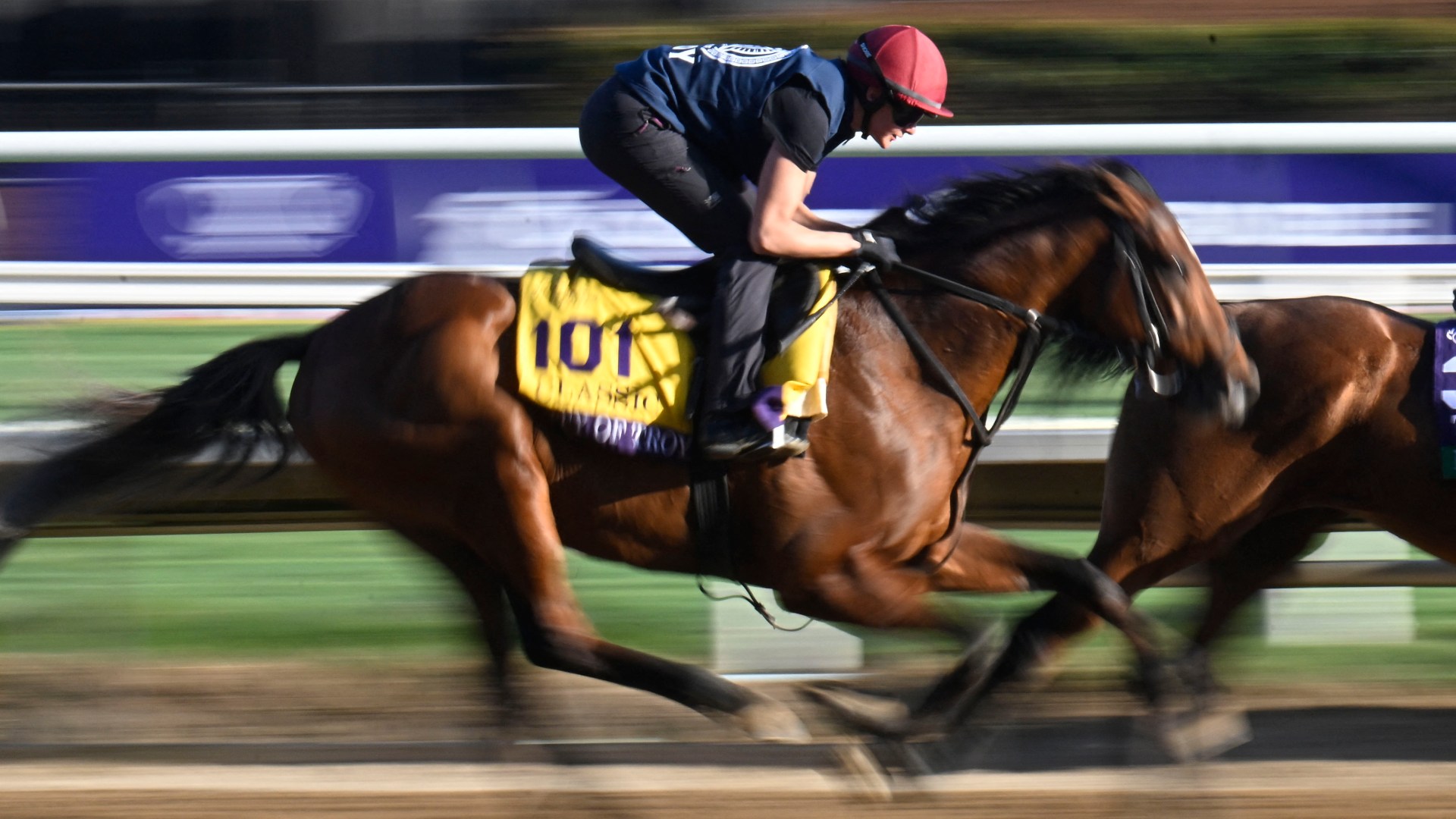 City Of Troy named Timeform's Horse Of The Year Awards despite Breeders' Cup flop as Bluestocking not in top three