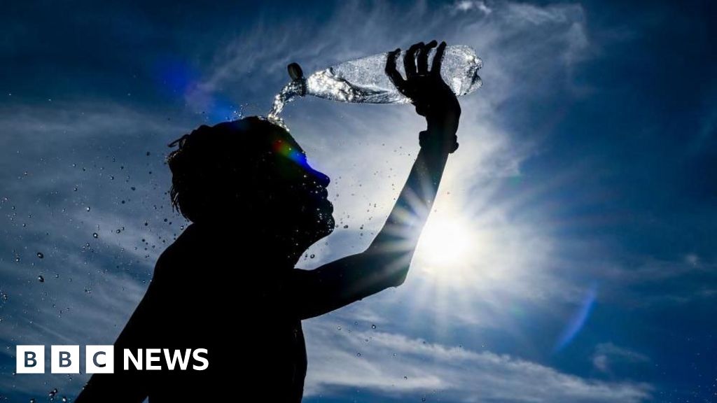 2024 'virtually certain' to be world's warmest year on record