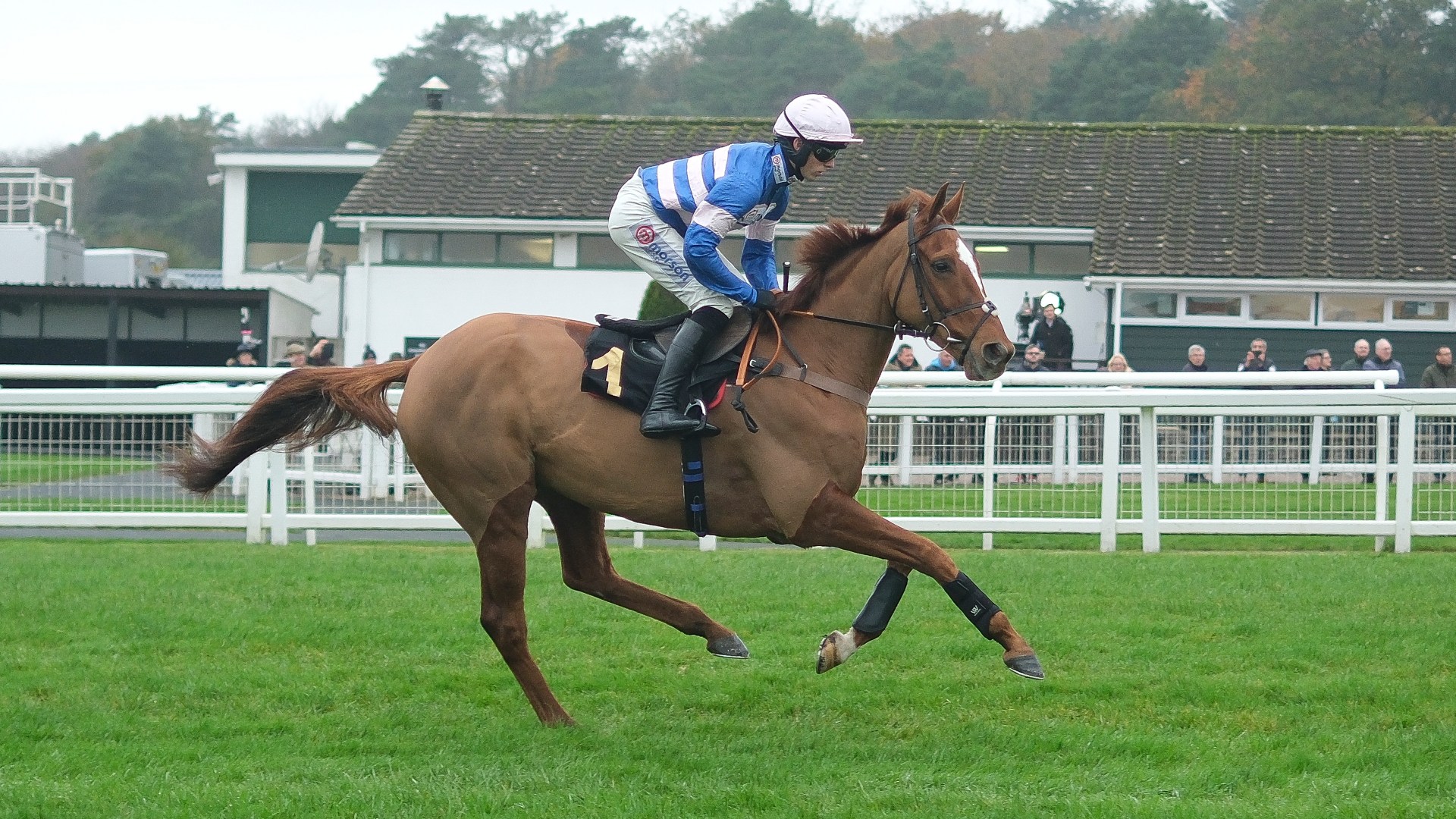 'Absolutely dismal viewing' - horse wins £40,000 in 'embarrassing' walkover as all other runners pulled out of ITV race