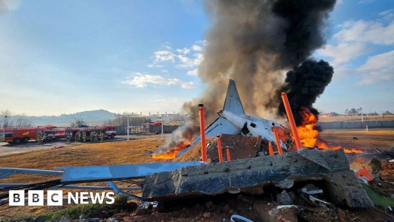 At least 28 dead in South Korea plane crash