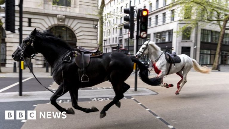 Quiz of the Year, Part 2: What made horses run wild through central London?