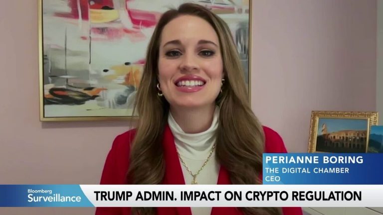 The Digital Chamber CEO on Trump Admin's Crypto Impact