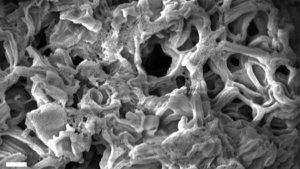 11 basketball courts in 1 teaspoon: this new material, borne from the space age, could hold the key to next-generation batteries and ultra small power cells