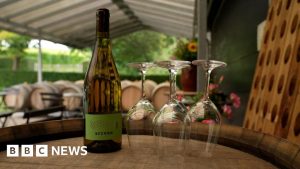 Scandi wines hope to win over drinkers