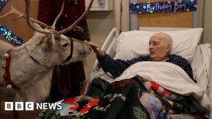 'Santa Claus' overjoyed by reindeer visit in Colchester hospice