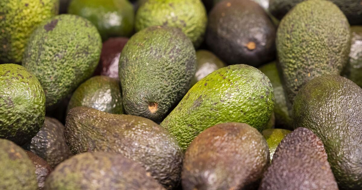 Avocado shoppers told to 'refuse to buy them' in supermarkets