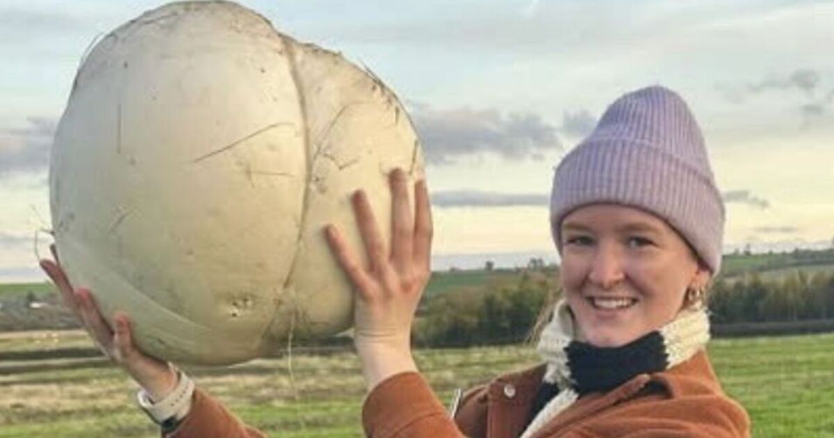 'I found a giant mushroom in a field - it fed my family for a week' | UK | News