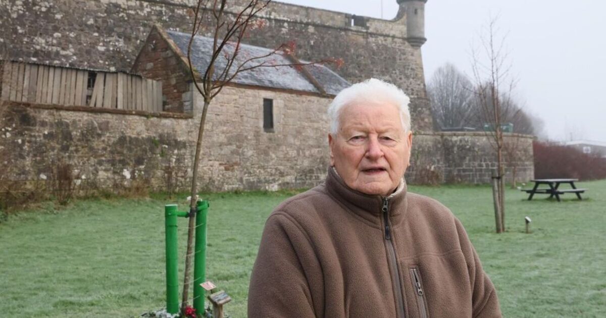 Pensioner's fury as late wife's memorial tree to be dug up | UK | News