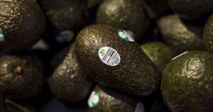 Avocado shoppers must check 4 things when buying in supermarkets