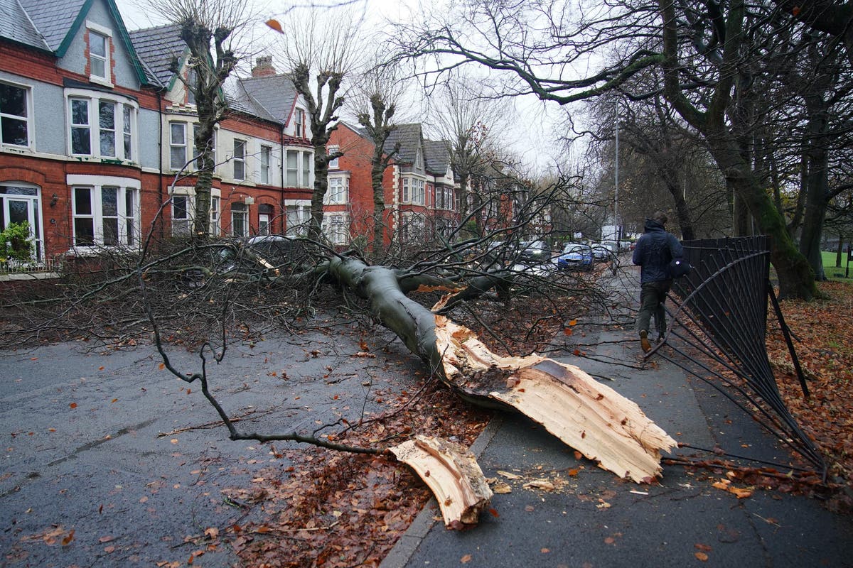 Storm Darragh news: Weather warnings continue as flight cancellations hit thousands amid winds near 100mph