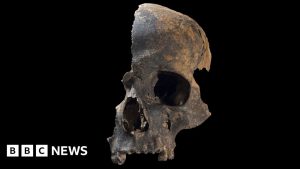 Somerset Bronze Age massacre victims likely cannibalised