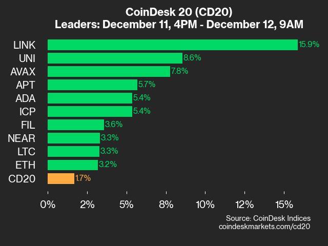 9am CoinDesk 20 Update for 2024-12-12: leaders chart