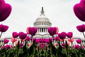 United States Capitol Building in Washington D.C (ElevenPhotographs/Unsplash, modified by CoinDesk)