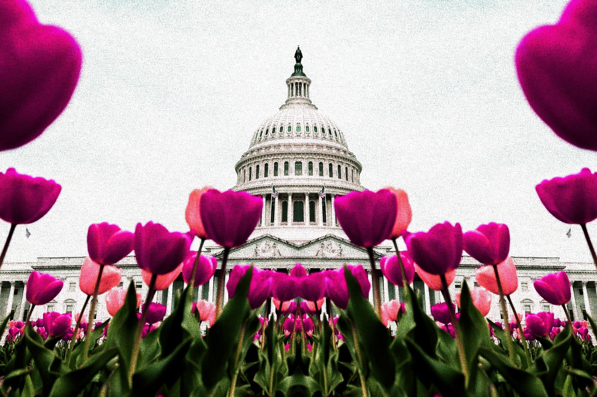 United States Capitol Building in Washington D.C (ElevenPhotographs/Unsplash, modified by CoinDesk)