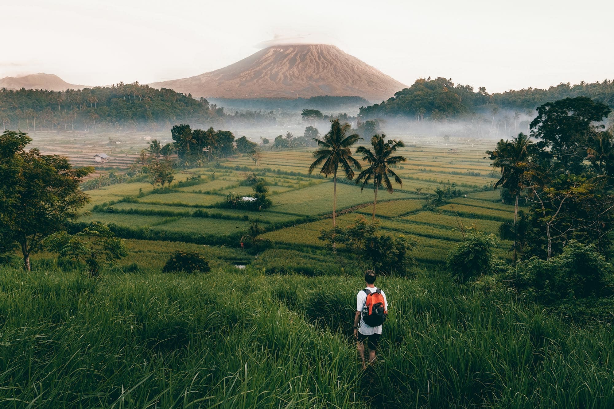 The Ultimate Itinerary for a Road Trip Through Bali + Tips