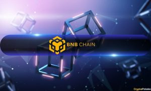 BNB Chain Hit by Record Sandwich Attacks in November, Impacting Thousands of Traders