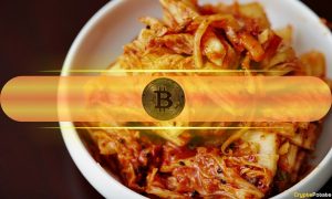 Bitcoin Kimchi Premium Surges as South Korea Grapples with Political Turmoil