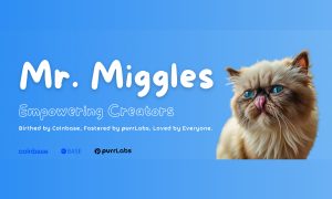 Coinbase’s Miggles to be the furry face behind purrLabs’ debut Creator Fund