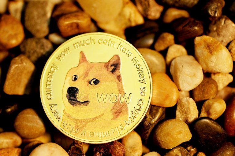 Analyst Says Dogecoin Has Entered Another Bull Cycle, Puts Price Above $20