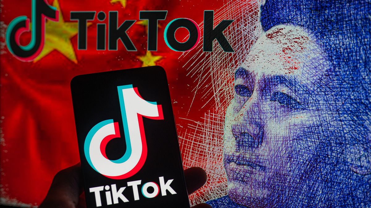 TikTok will have its day in court, but it's time to ask what we'll do without it