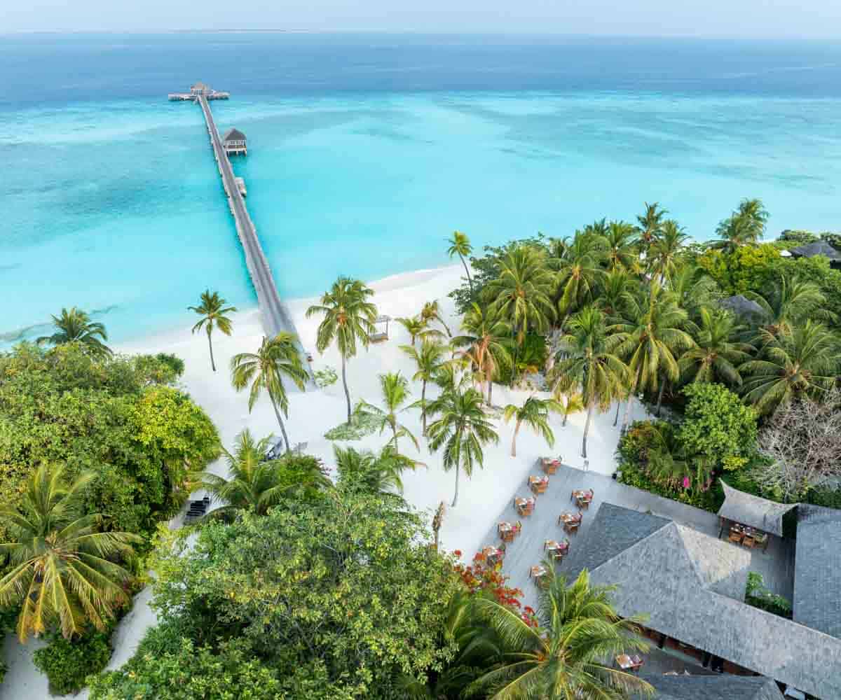 Vegan Maldives is really a thing and you're going to love it