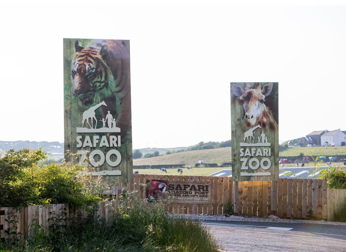 South Lakes Safari: Britain’s ‘worst zoo’ where animals went missing or died set to close