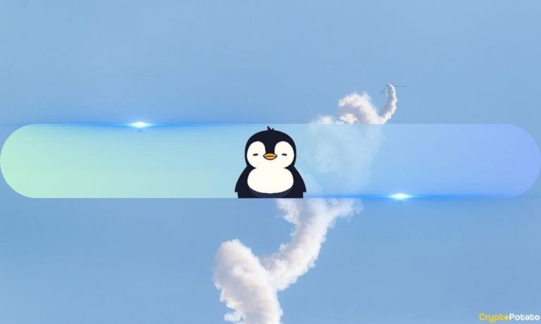 PENGU Overtakes BONK, Becomes Top Meme Coin on Solana at $2.6B Valuation