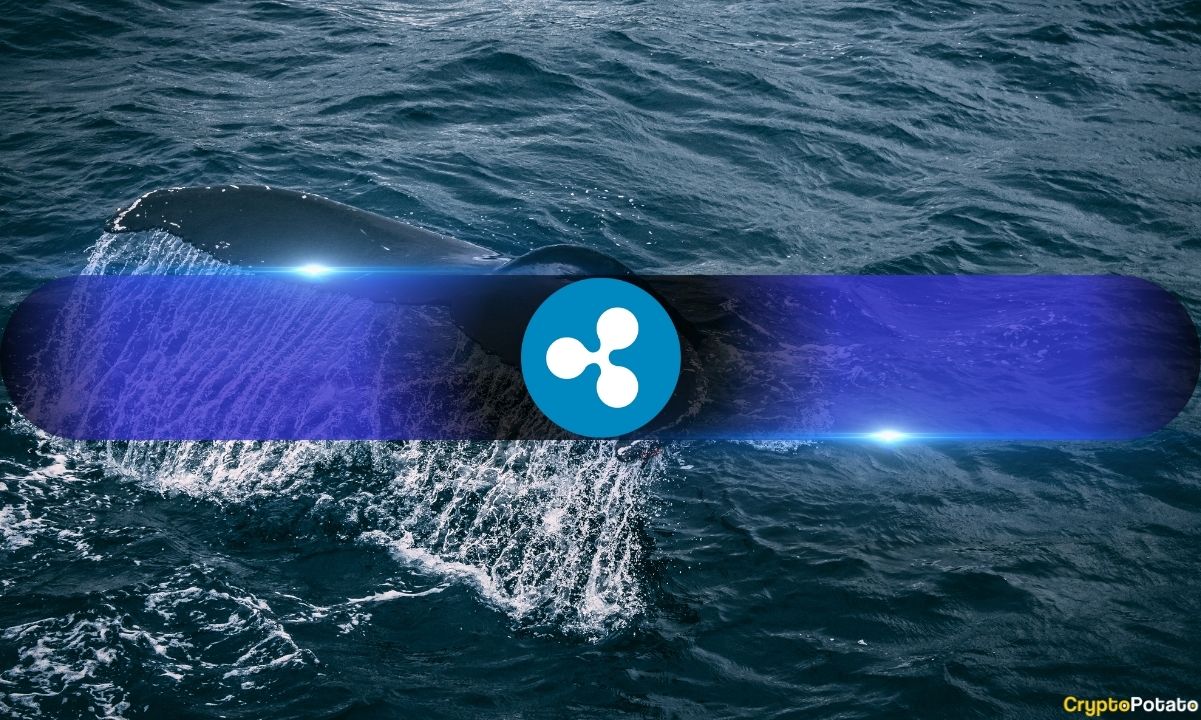 Ripple Whale Deposits to Binance Reach 6-Month High, Over 2.66 Billion XRP Transferred