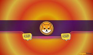 Shiba Inu (SHIB) Team Issues a Crucial Warning to the Community