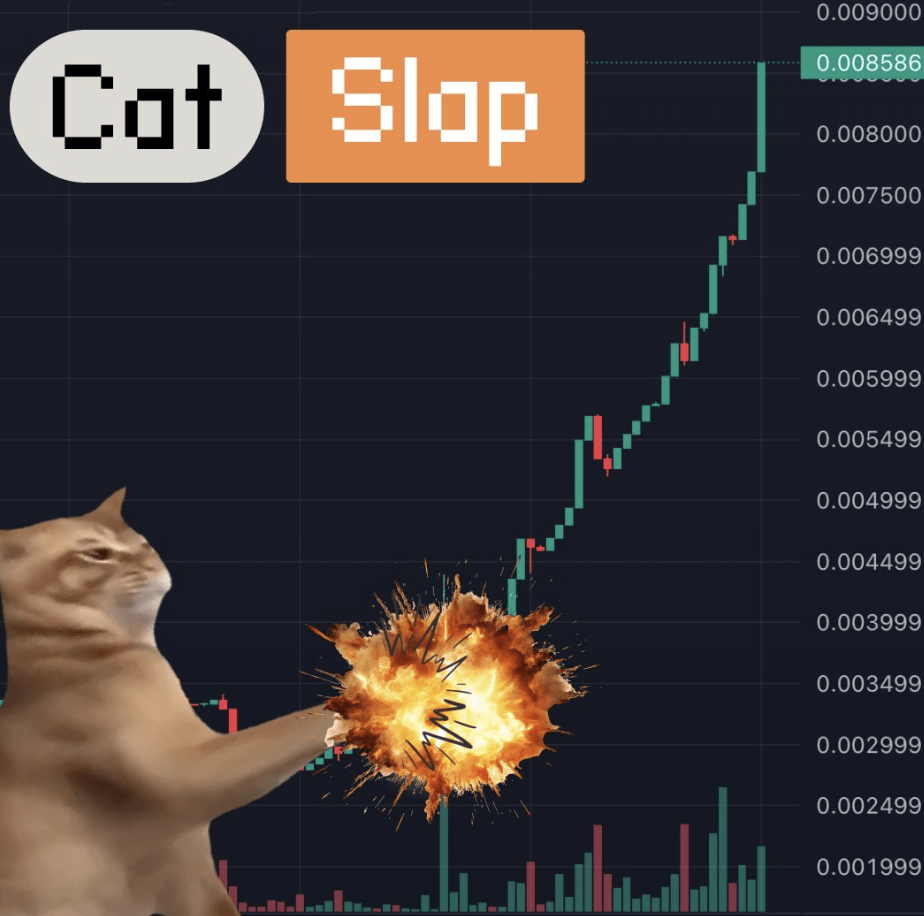 First Cat Coin Listing On Binance Spot, Is Catslap Next?