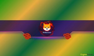 Shiba Inu's Shibarium Reaches a New Milestone: Details