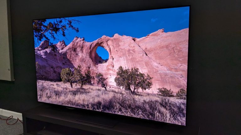 I tested plenty of TVs in 2024, but these are my personal top 5 models