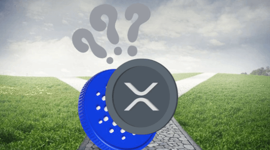 Cardano and XRP Crossroads: Can They Keep Growing in 2024, or Will This Meme Coin Dominate?