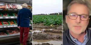 Farmers ‘buying veg from supermarkets’ for livestock as ‘insulting’ Christmas prices CHEAPER than regular feed: ‘It’s ridiculous!’