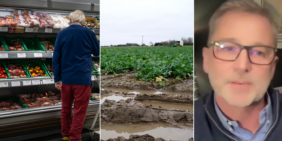 Farmers ‘buying veg from supermarkets’ for livestock as ‘insulting’ Christmas prices CHEAPER than regular feed: ‘It’s ridiculous!’