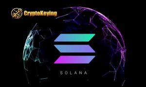 Start a new chapter of cloud mining with SOLANA and DOGE – easily earn $1000 per day