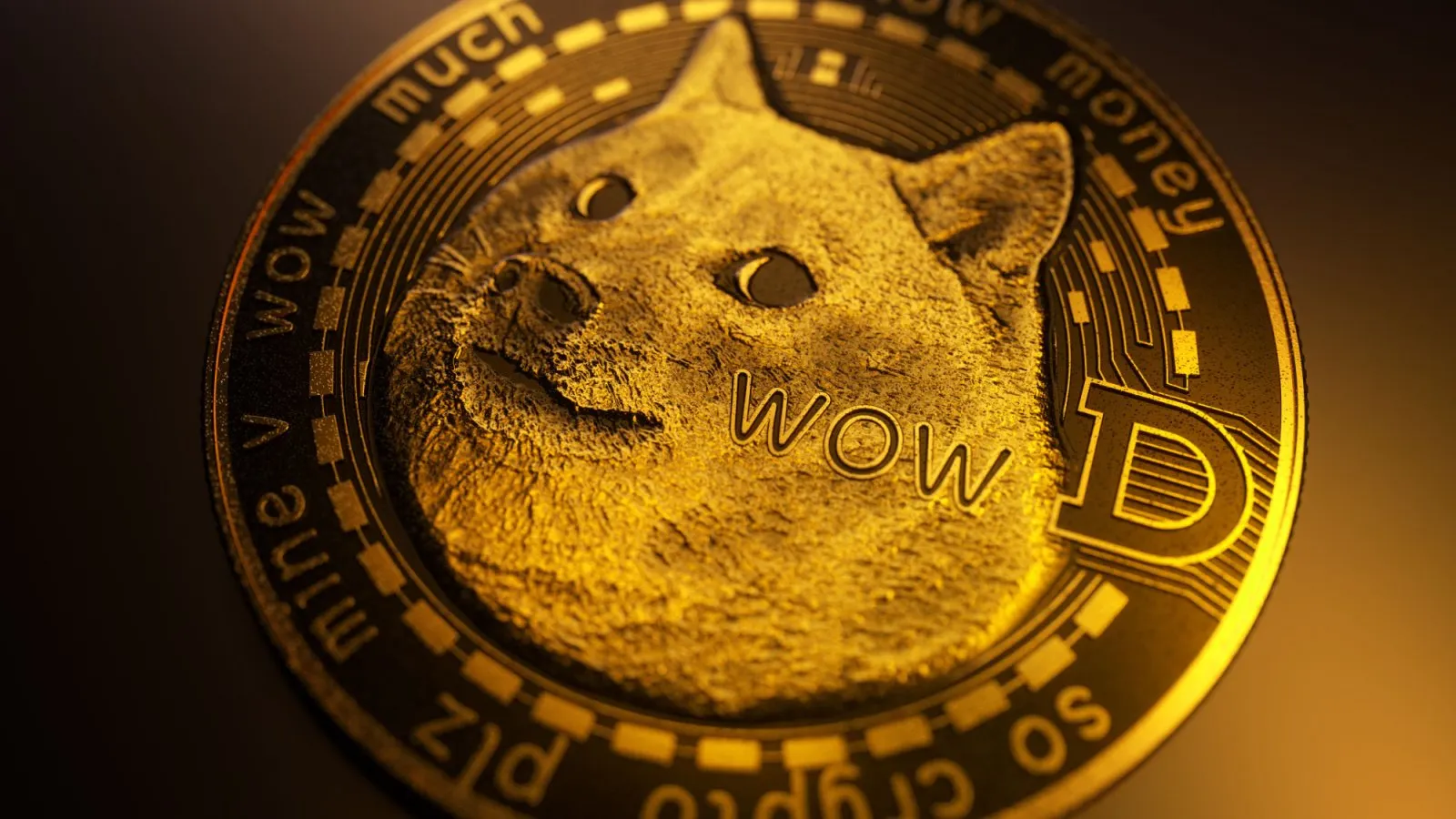 Dormant Dogecoins Spring to Life Amid DOGE Price Dip