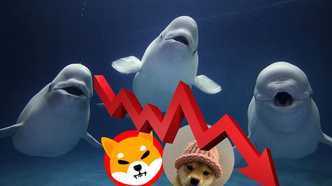 SHIB and WIF See Whale Sell-Offs as This High-Potential Crypto Gains Momentum for 99,000% Gains!