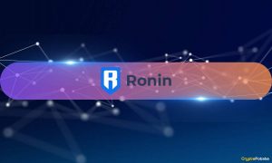 Ronin's DeFi TVL Grows 149% YoY, Boosted by RON Token's 30% Price Rise